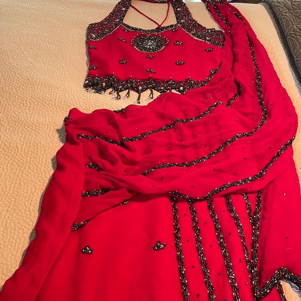 Beautiful sari